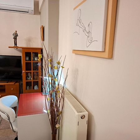 Απέριττον 2 Διαμέρισμα Τρίκαλα Εξωτερικό φωτογραφία